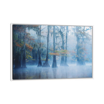 Foggy Swamp Morning by Aijing H - Print on Canvas