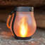 Renard flamme