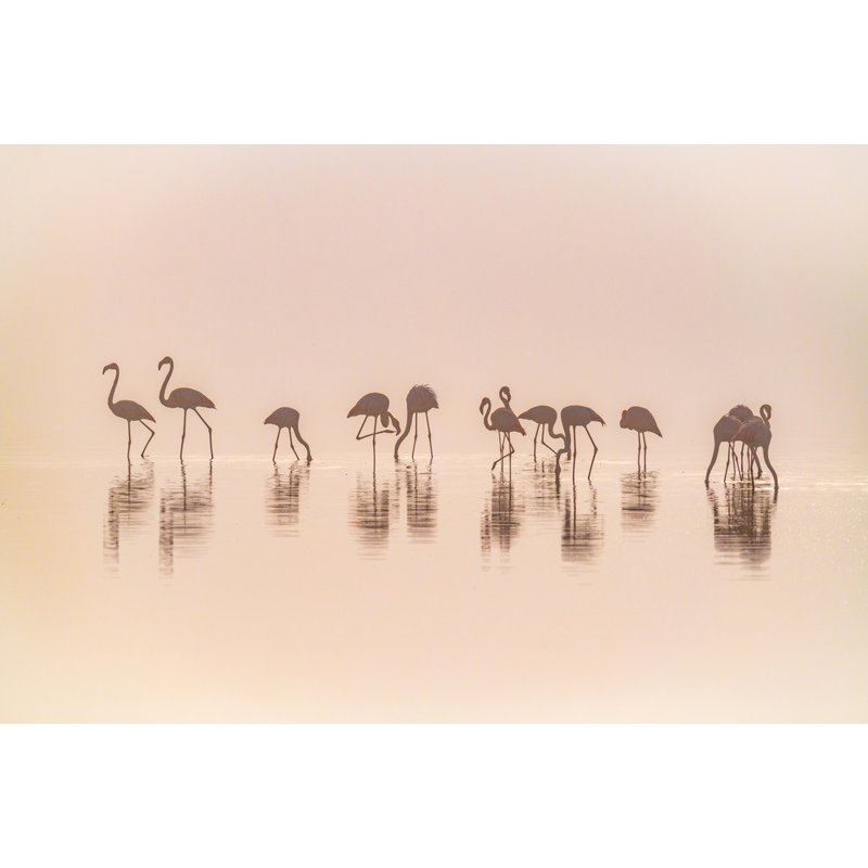 Wrapped Canvas Print, 60.96 cm H x 91.44 cm W