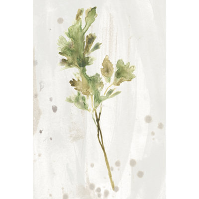 Antique Earthtone Herbs I by June Erica Vess - Painting