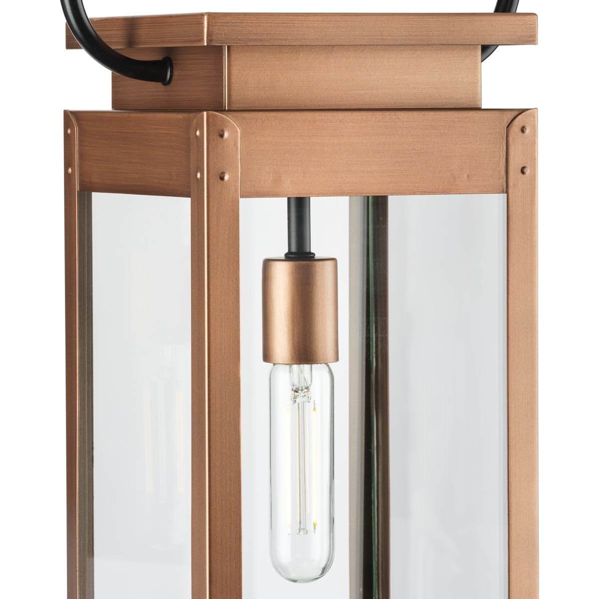 Ginseng Transparent Outdoor Hanging Lantern