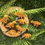 Nordic Ware Dinosaur Cakelet Pan