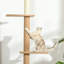 Cat Tree / Condo-1359486004