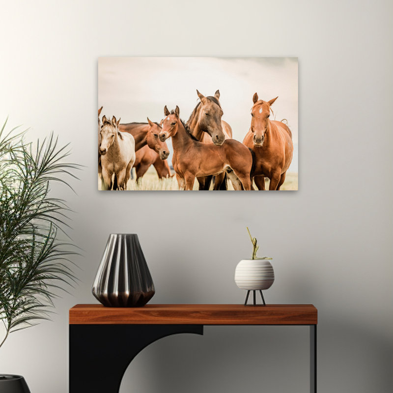 Hartville - photographie, animaux, faune, chevaux, art, H 16 po x l 24 po