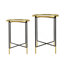 Ensemble de 2 tables d'appoint gigognes avec plateau en verre-1577027305