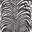 Tissu palmier zébré-31247115