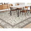 Elegance Oriental Area Rug
