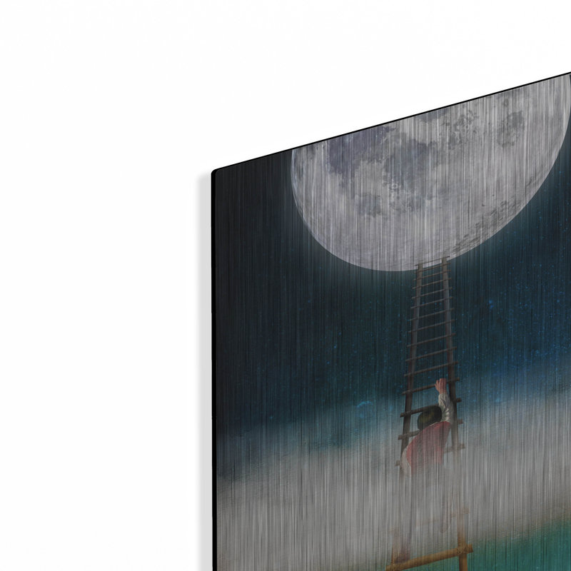 «Reach For The Moon» par Diogo Verissimo, H 16 po x l 12 po