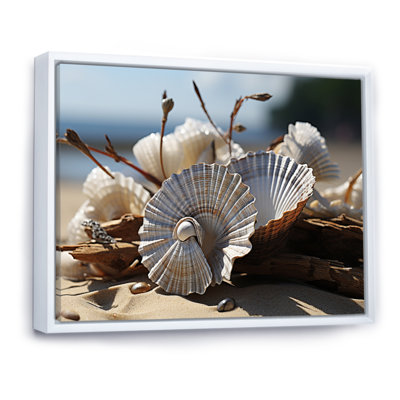 " Beach Photo Seashell Sonata II "