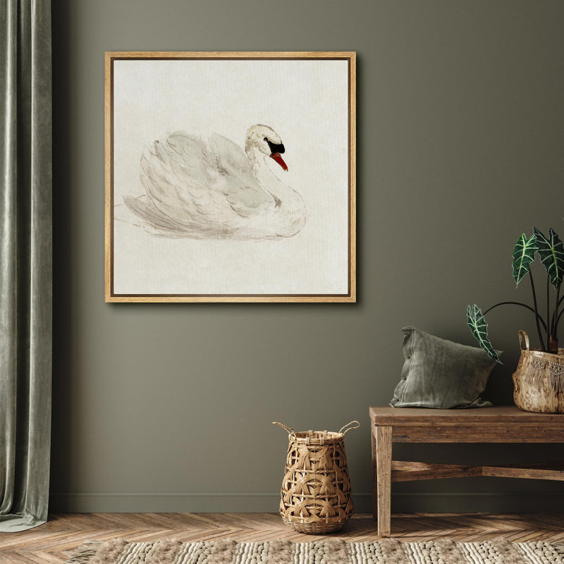 «Elegant Swan In Repose», reproduction d'art sur toile, Toile naturelle, H 24 po x l 24 po