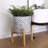 Elayna Ceramic Planter with Wood Stand-345133210-345935327