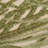 Brasfield Floral Indoor / Outdoor Rug-431033197