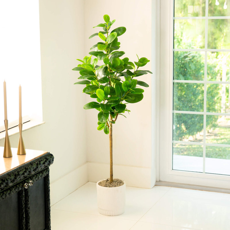 7 pi Ficus Audrey artificiel, H 60 po x l 24 po x P 6 po