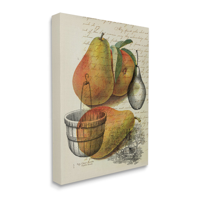 «Pear Fruit Harvest Illustration Vintage Text Passage» par Daphne Polselli - Peinture, H 20 po x l 16 po, Plaque murale