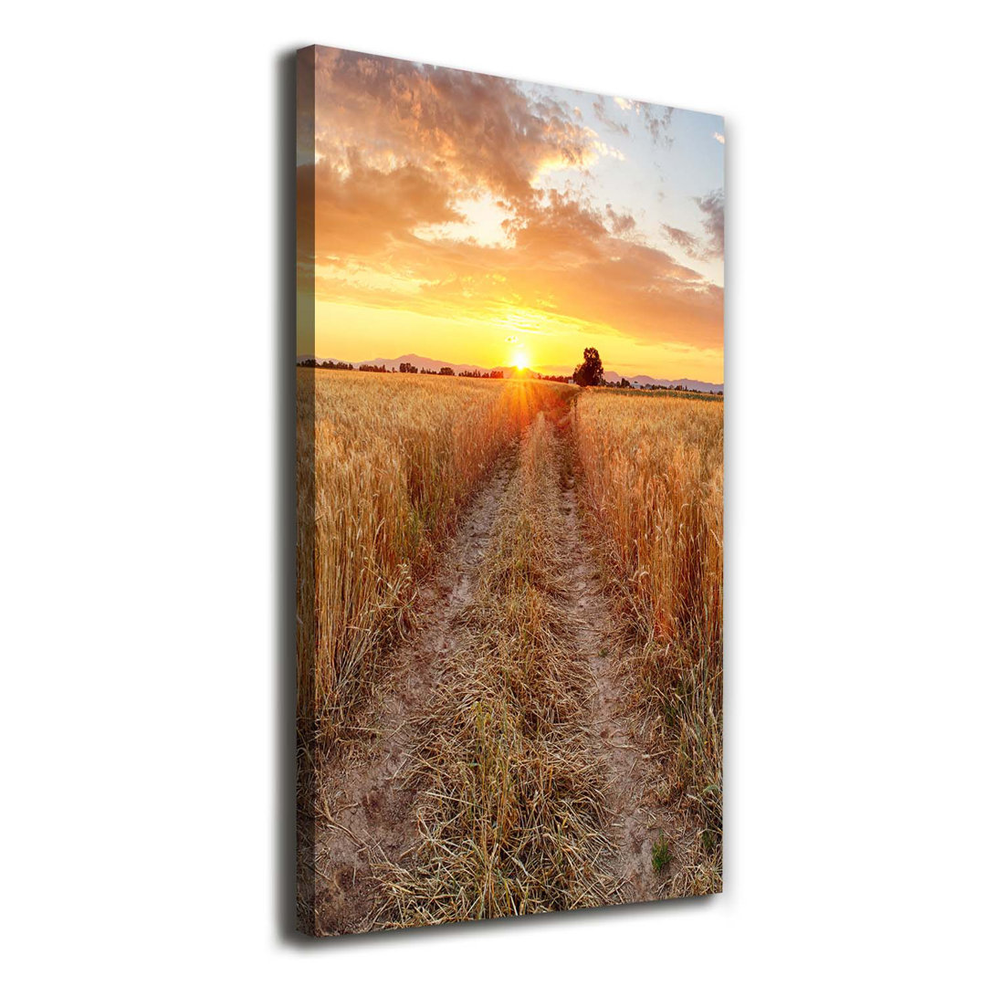 Weizenfeld - Wrapped Canvas Kunstdruck