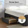 Queneisha Upholstered Storage Bed