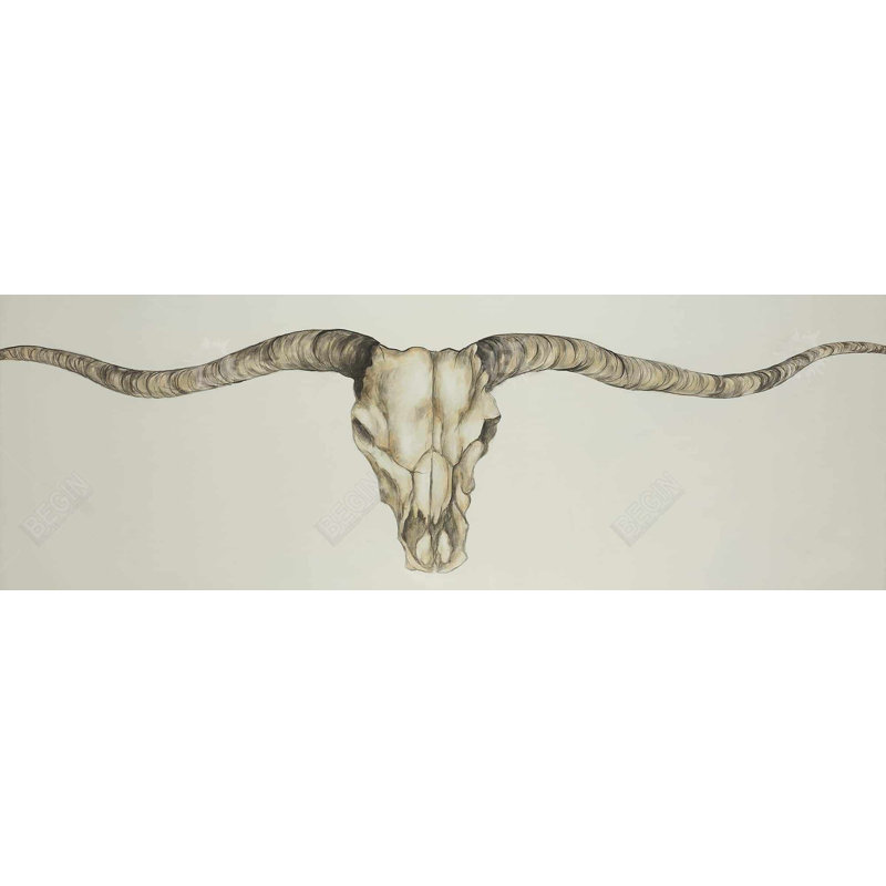 Impression sur toile «Long Horn Skull Country»