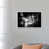 White Framed