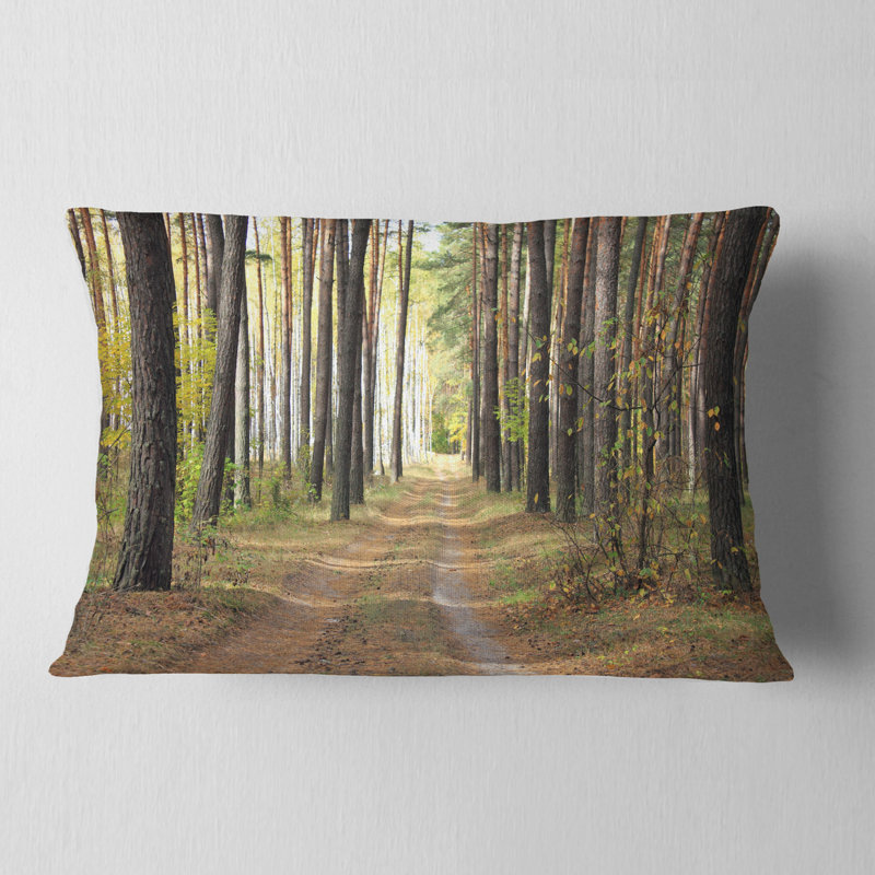 Coussin en pin d’automne à chemin forêt