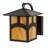 Rustic Lodge Solid Brass Armed Sconce