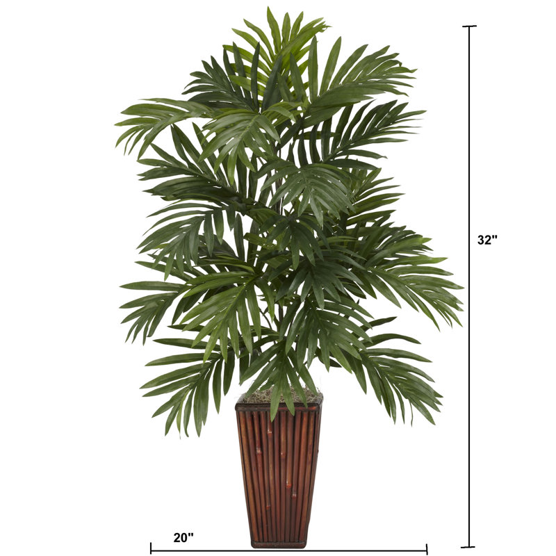 Palmier Areca avec vase en bambou
