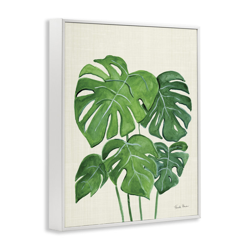«Green Monstera» par Farida Zaman bg-021, Estampe numérique encadrée blanc bord de mer, H 20 po x l 16 po
