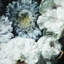 Floral Wallpaper-1935625730