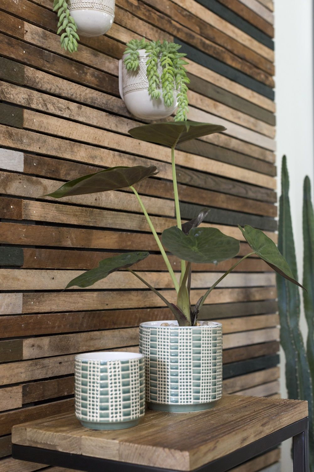 Derick 7" Ceramic Pot Planter, Green