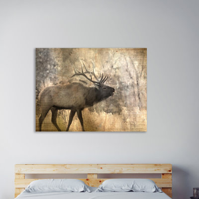 Morning Walk by Kimberly Allen - Wrapped Canvas Print