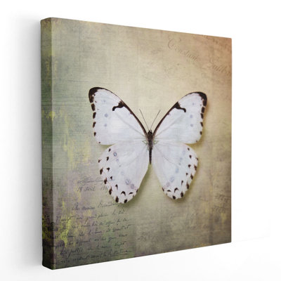 «French Butterfly II», reproduction d'art sur toile