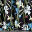 Aamani Eyelet Blackout Curtain