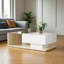 Table basse Flora avec plateau brillant, éclairage DEL et rangement-1013790022