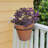 Metal Weather Resistant Bracket Plant Stand-50812332