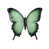 Green/Black