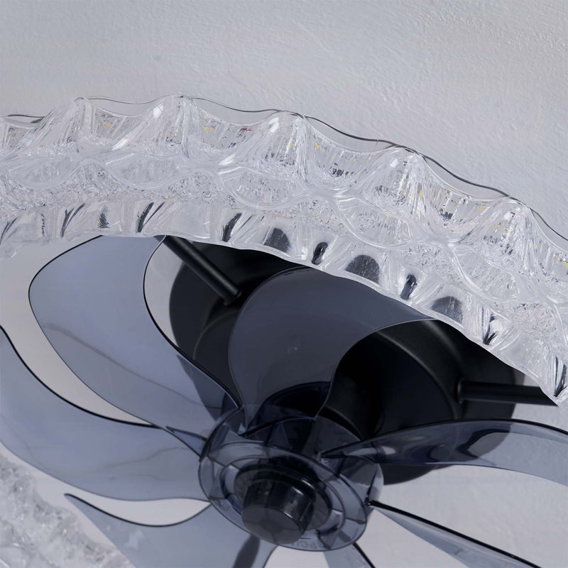 Ceiling Fan