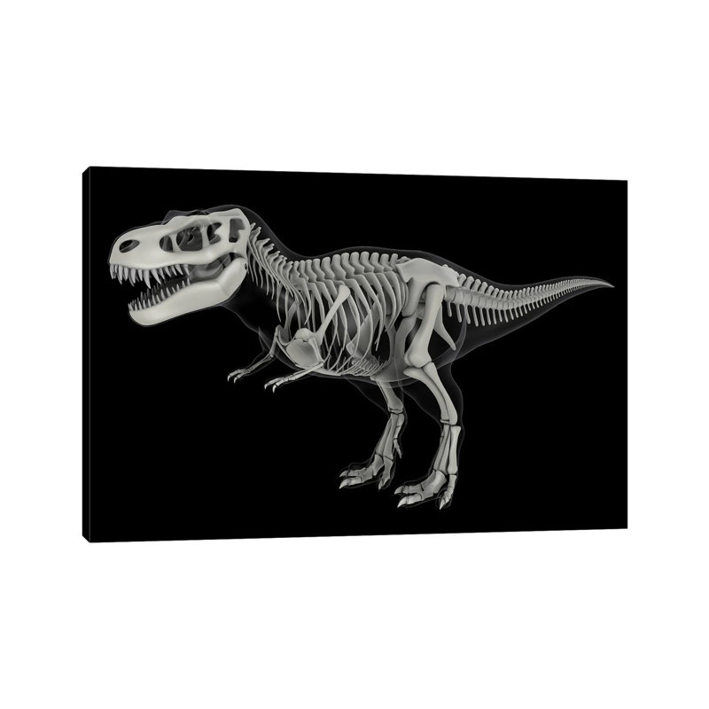 Skeletal System Of Tyrannosaurus Rex, Side View by Stocktrek Images - Wrapped Canvas Print