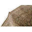 Wool Oriental Area Rug in Brown/Black/Blue