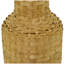 Bambou d'Afrique-203546504-203546548