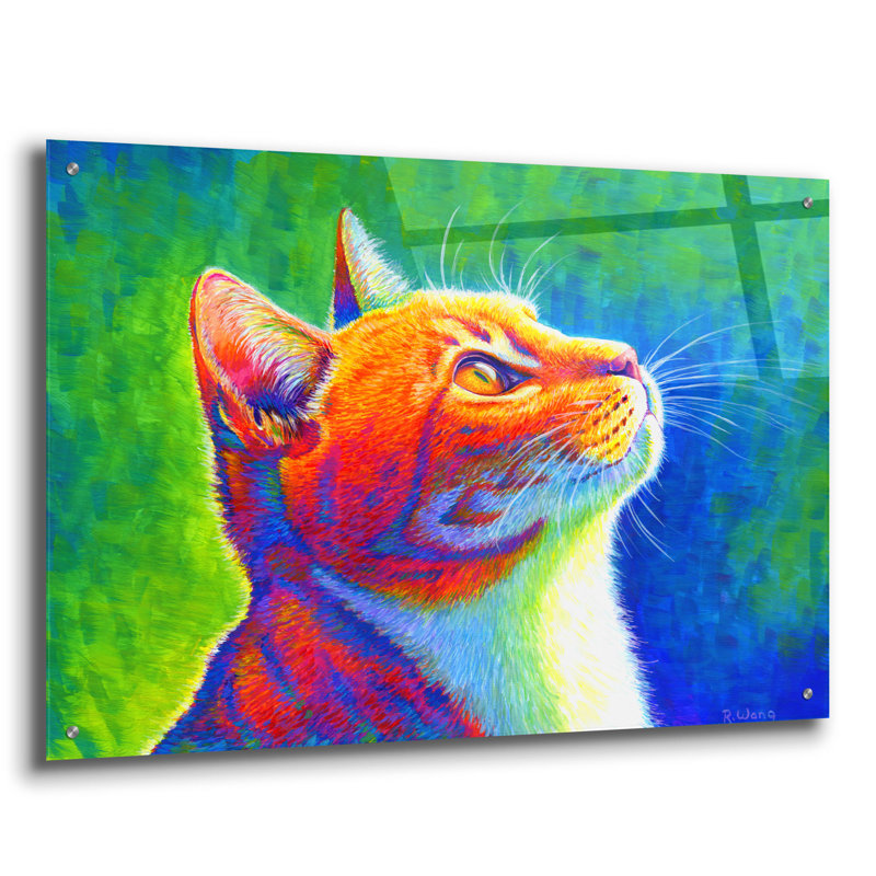 «Rainbow Cat» par Rebecca Wang Art, H 24 po x l 36 po x P 0,2 po