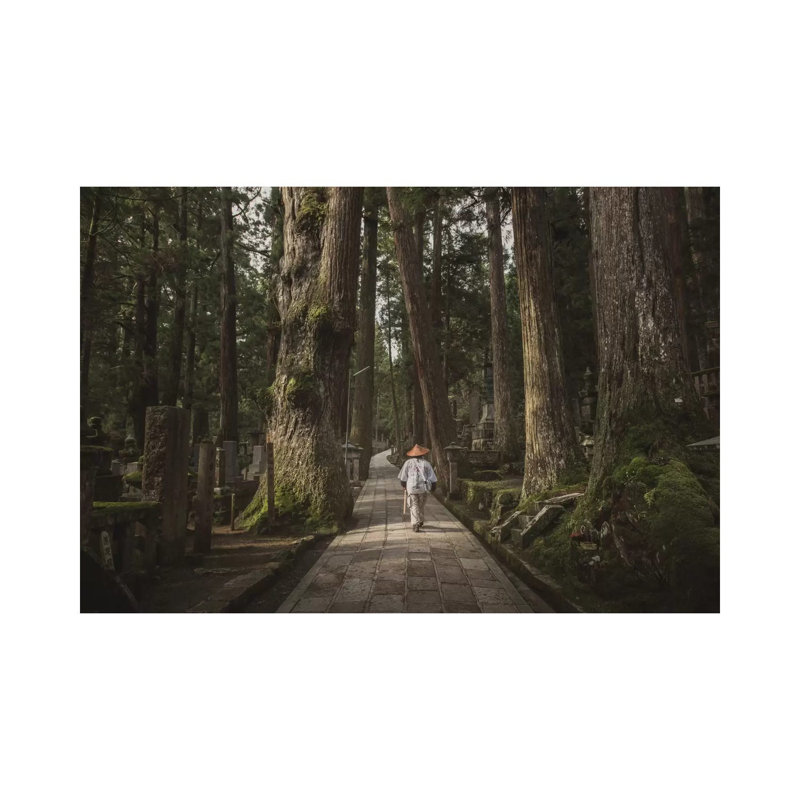 Japan Okunoin by Daniel Kordan - Wrapped Canvas Print, 152.5 cm H x 101.5 cm W