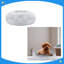 Coussin pour chien-131237588-131237589