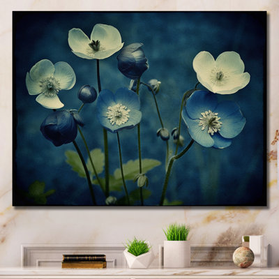 «Blossoming Buttercup Flowers» - impression rétro