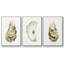 «Neutral Oyster Study I», ensemble de 3 toiles tendues avec châssis de qualité supérieure-97708840-97708837