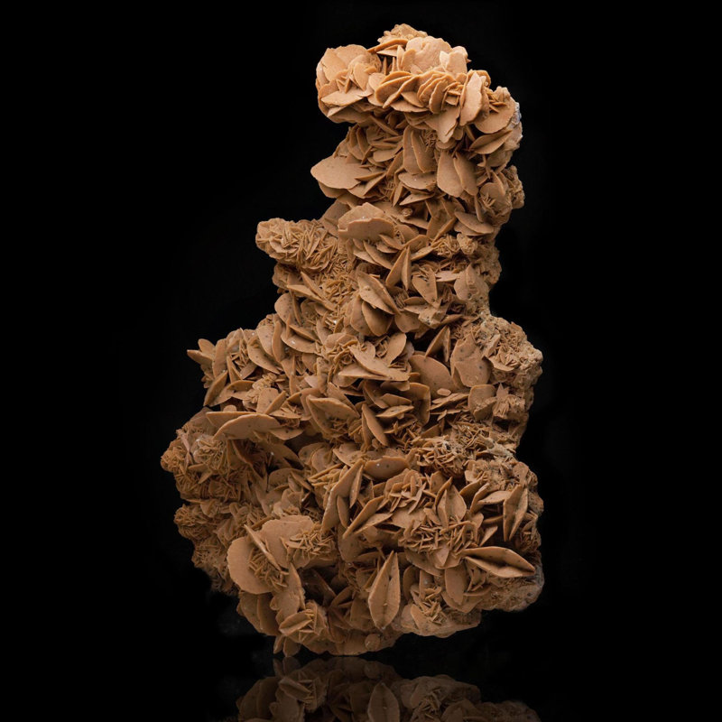 Giant Desert Rose Selenite