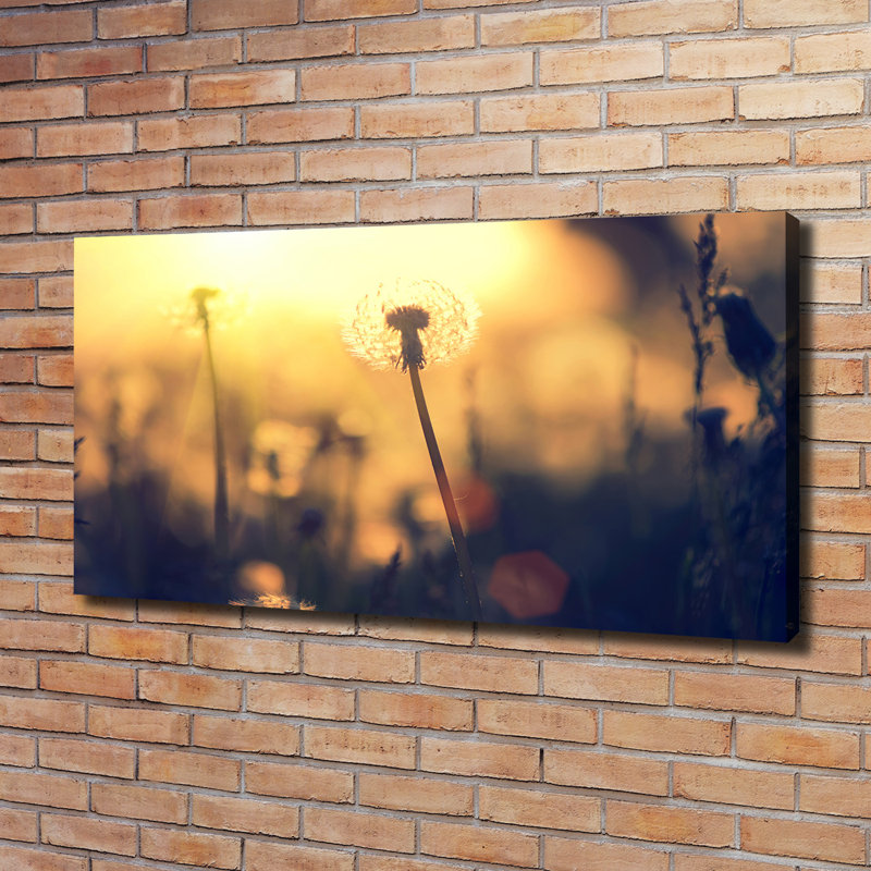 Dandelion - No Frame Print on Canvas