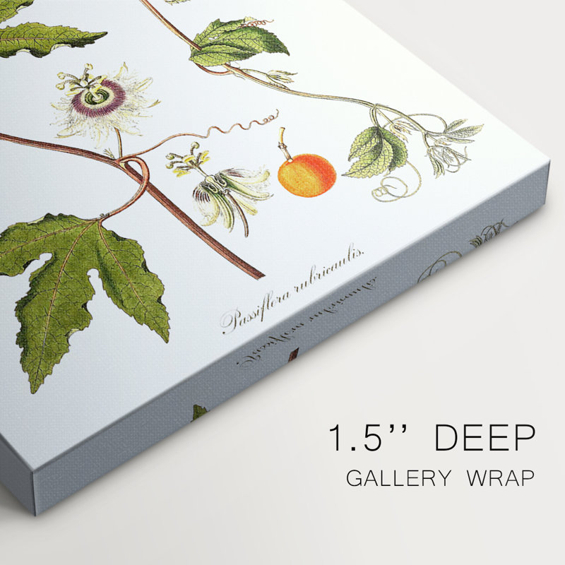 Passiflore Trio III - Cavas enveloppés de galerie