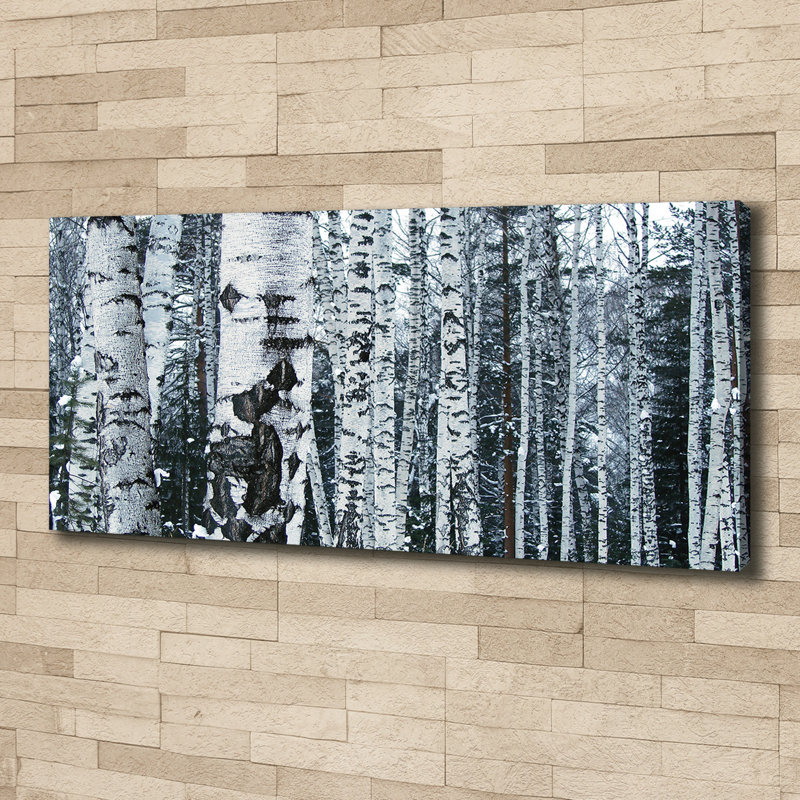 Birch Trees - Wrapped Canvas Print, 50cm H x 125cm W x 2cm D, Canvas