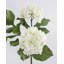 Hortensia double bleu 91 cm-509150671