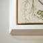 Mariposas I par V. Larkspar - Impression sur toile-502667584-502667596