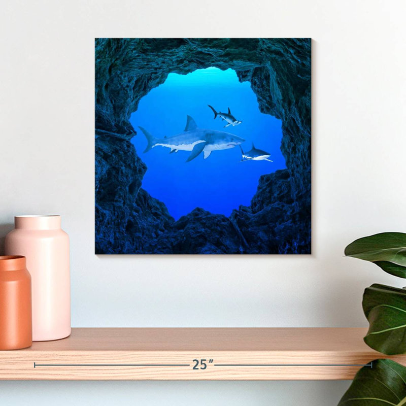 Crowle Sharks Ocean Hole, 16" H x 16" W